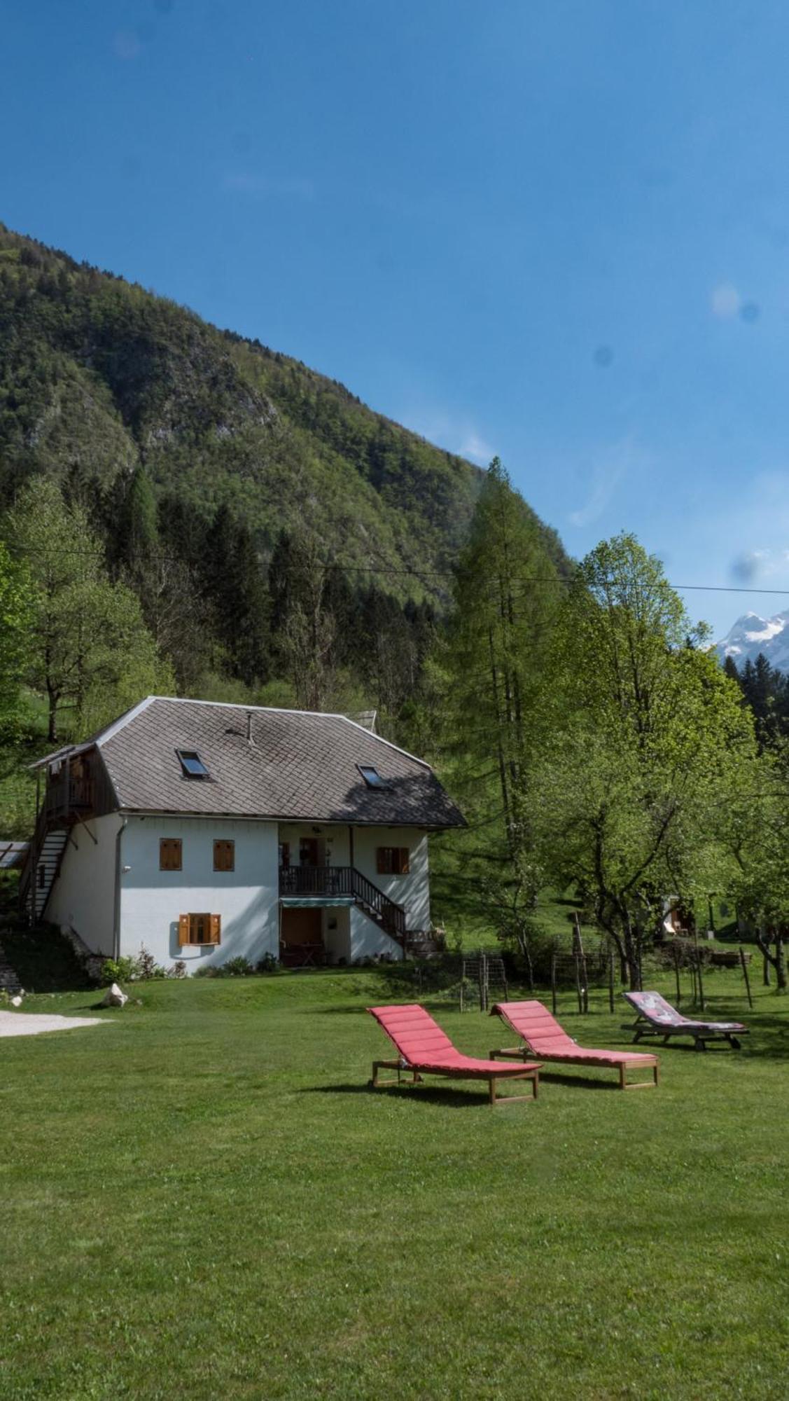 Domi Apartmán *